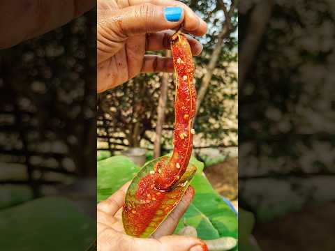 mouth watering spicy tetul😋🥰‼️#trending #short #viral #food #recipe #reels #video #shorts #fruit