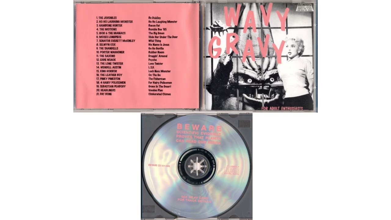 Wavy Gravy - YouTube