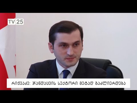 რიჟვაძე: ჯანდაცვის სექტორის მეტად გაძლიერდება