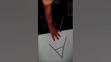 mathematicians commit 100%