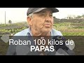 Roban la cosecha completa de papas