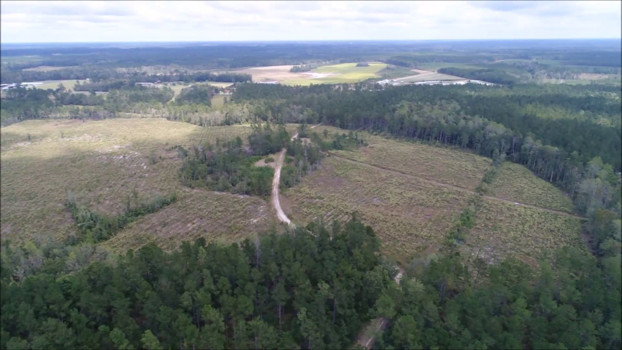 MINGO CREEK PLANTATION YouTube