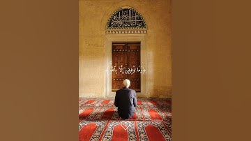 تلاوة تريح القلوب🎧😴 من الشيخ علي جابر🤍✨️ #قرآن #علي_جابر #اذكرو_الله #صلوا_على_النبي #راحة_نفسية