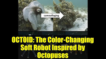 OCTOID: The Color-Changing Soft Robot Inspired by Octopuses | Biomimetic Robotics Breakthrough