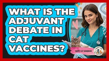 What Is The Adjuvant Debate In Cat Vaccines? - Happy Cat Handbook