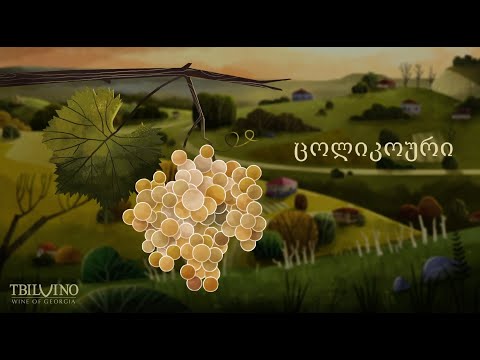 ვაზი საქართველოდან - ცოლიკოური