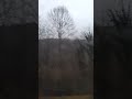 الشلة وقعت مني مش قادر اشلها