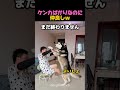 毎日ケンカするコンビｗ