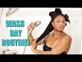 WASH DAY ROUTINE | NATURAL HAIR