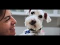 WILLIE TAMAYO Y BARBIE: el amor de Paulina que sigue presente 🐶❤️ | SE HABLA ANIMAL | EN CONTACTO