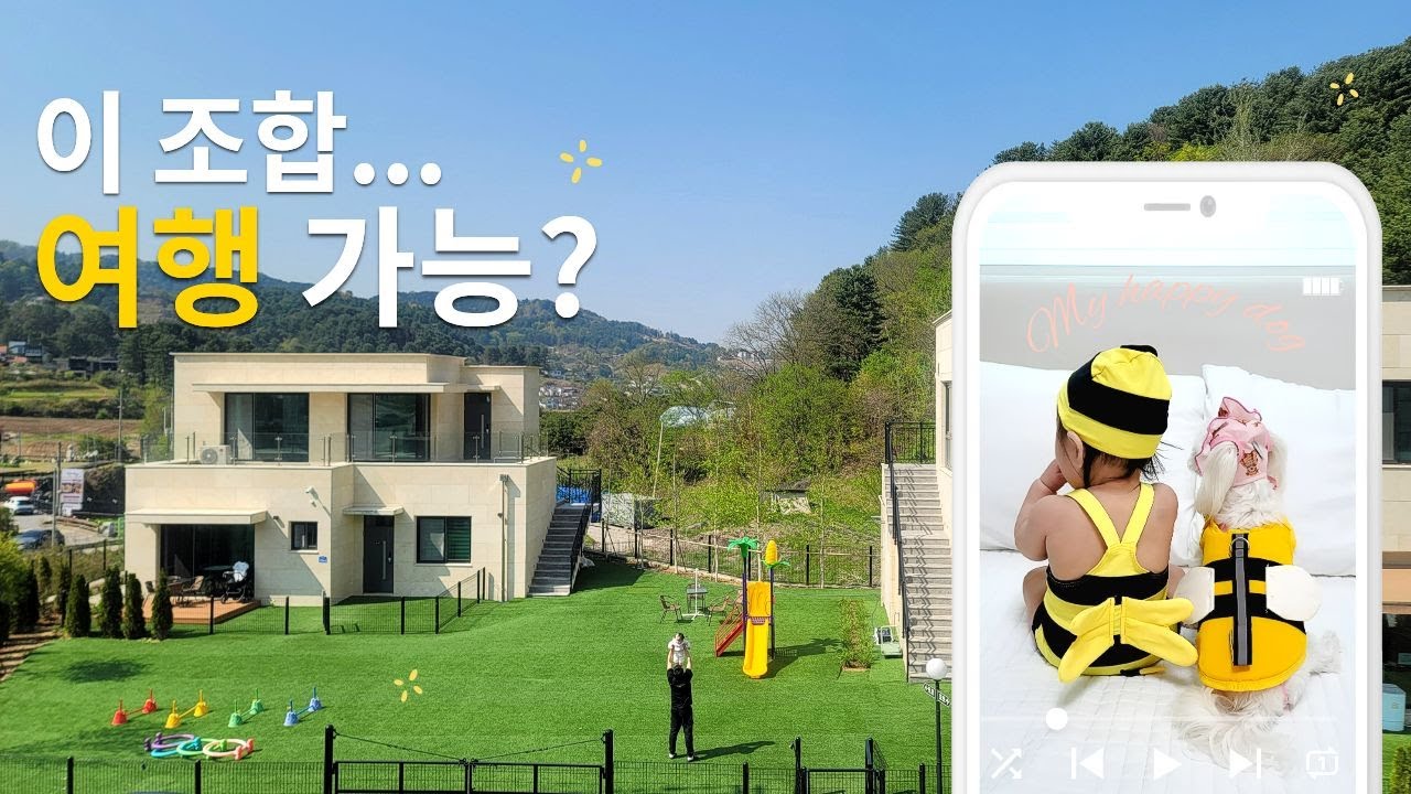 강아지와 첫 여행｜이 조합..가능할까?