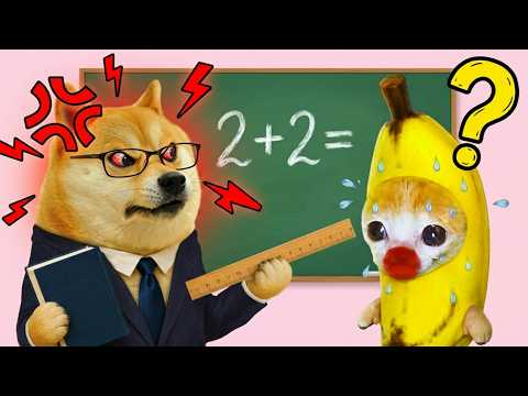 Banana Cat Tries to Become the Best Student Ever! 😱📚 | Banana Cat Compilation 😿 | Cat MEME 😿
