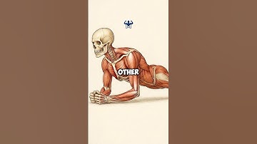 3 minutes of plank’s every other day 😳💪🔥