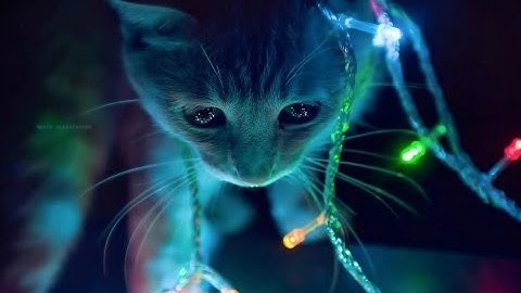 Sony Vegas Pro 12 - Pump and Flash Effect Tutorial [English/Englisch]