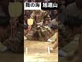 舞の海対旭道山 決まり手→下手投げ 舞の海の勝ち #相撲 #大相撲 #技のデパート舞の海 #力士 #土俵 #国技 #shorts