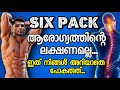 SIX PACK ആരോഗ്യത്തിന്റെ ലക്ഷണമല്ല | ഈ തെറ്റുകൾ നിങ്ങൾ ഒരിക്കലും ചെയ്യരുത് | Vijo Fitness