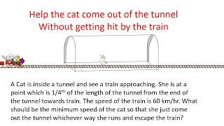 A Cat Trapped Inside The Tunnel And Wants To Run To Escape The Train Approaching The Tunnel