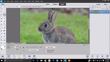 PEN TOOL in Photoshop Elements!