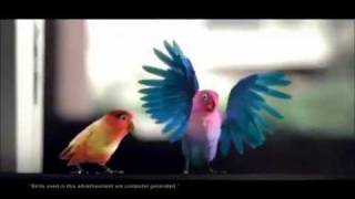 kitkat-love-birds-latest-tv-ad---aao-na-gale-lagao-na-2012-flv