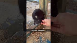 Best Hat For A Tradie