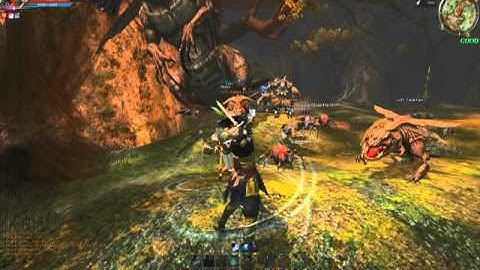 C9 Red Fog Marsh Flower Master (Solo)