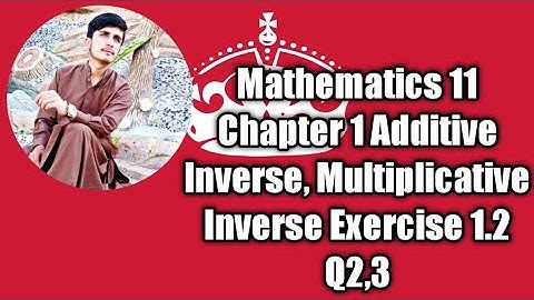 Mathematics 11 || Cahpter 1 || Additive Inverse || Multiplicative Inverse || Exercise 1.2 Q2,3 ||