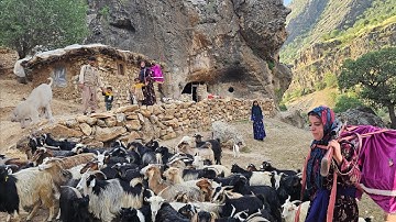 Pure moments of traditional nomadic migration: Kulthum