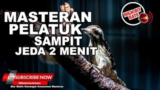 🔴 Masteran Pelatuk Beras Gacor ❗️ Jeda 2 Menit Masteran Terbaik Untuk Cucak Ijo