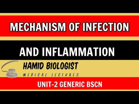 Video: Inflammatorisk Brystkreft: Vasculogenic Mimicry And Its Hemodynamics Of A Inflammatory Breast Cancer Xenograft Model