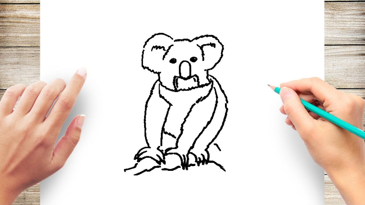 How to Draw Koala Step by Step for Beginner - YouTube