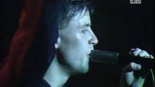 LOTUS EATERS - YOU FILL ME WITH NEED, live