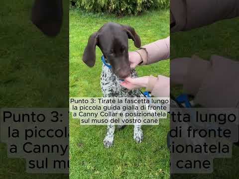 Come iniziare con
