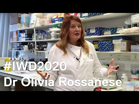 International Women's Day: Dr Olivia Rossanese