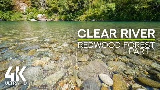 Soothing Sound of a Flowing Water Stream & Birds Chirping - 4K Redwood Forest Clear River - Part 1