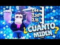 ¿CUANTO MIDEN LOS BRAWLERS EN LA VIDEA REAL?