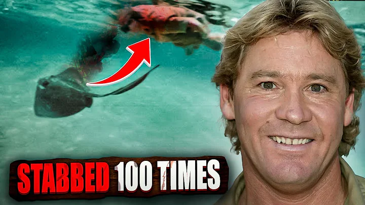 The GRUESOME Death Of Steve Irwin  The Crocodile H...