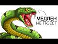 Ты – Зелёная Анаконда (И ЭТО ВСЯ ТВОЯ ЖИЗНЬ)