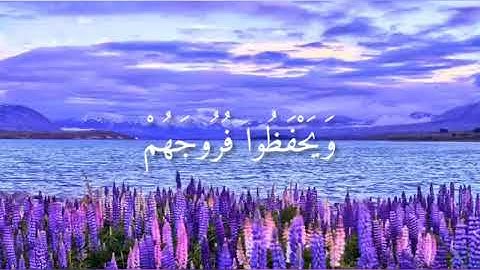 تلاوة تفوق الوصف 🌹🥀 قل للمؤمنين يغضوا من أبصارهم  🌻 للقارئ سلمان العتيبي