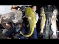 Ultimate fishing challenge  300 lb catfish challenge  how to catch big catfish