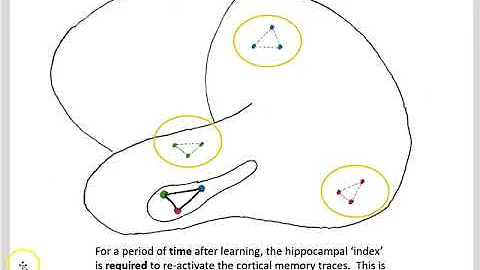 System consolidation part 3 memory traces 2019