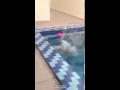 استهتار استهتار