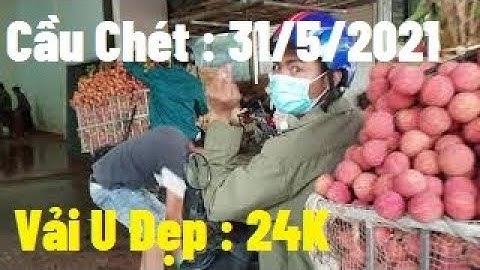 Cầu Chét - Phì Điền Giá Vải U Hồng, Vải Thanh Hà Đẹp  l Vải Thiều Lục Ngạn l Luc Ngan Litchi