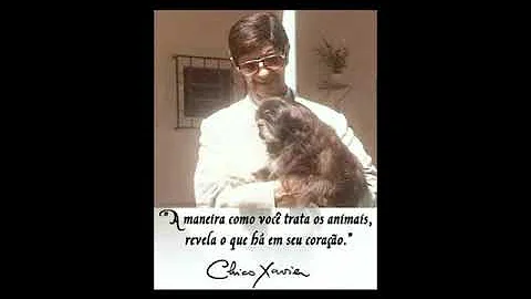 Quando os cães morrem vão para o céu?