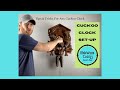 Cuckoo Clock Set-Up with KingWood Clocks