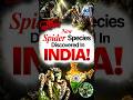 New Spider Species Discovered in Nagaland! | Rare Forest Discoveries Explained  | UPSC | NEXT IAS