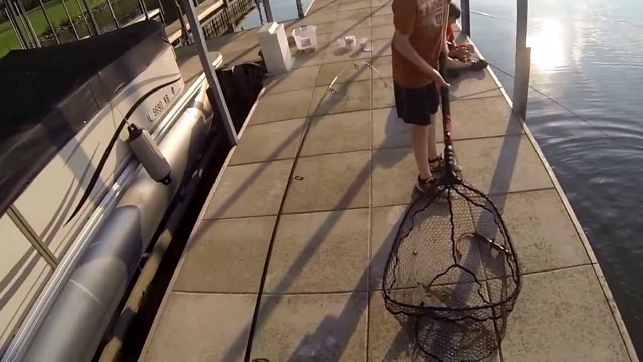 Catfishing With Chicken Liver YouTube