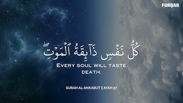 أرح سمعك.. تلاوة هادئة تريح القلب والعقل🩷😴 | ساعة كاملة🕛🎧 القارئ محمد هشام | Mohamed Hesham