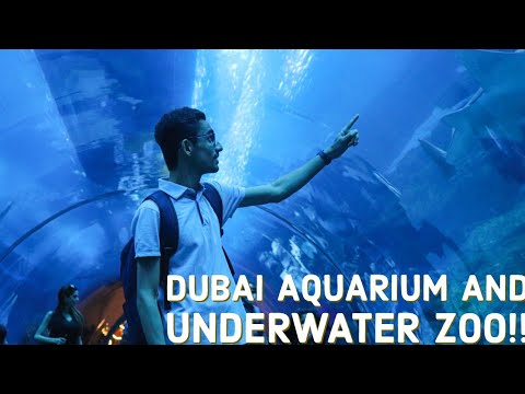 i Met Penguins in DUBAI AQUARIUM AND UNDERWATER ZOO!!