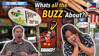 BEE AMAZED! The Best Kept SECRETS of Bohol | Nova Shell Museum, Hinagdanan Cave, Bohol Bee Farm