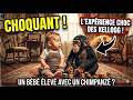 L Expérience Choc Des Kellogg Un Bébé Élevé Avec Un Chimpanzé